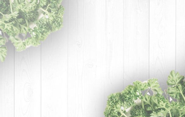 Restaurant Les jours de Damas - Mezzé